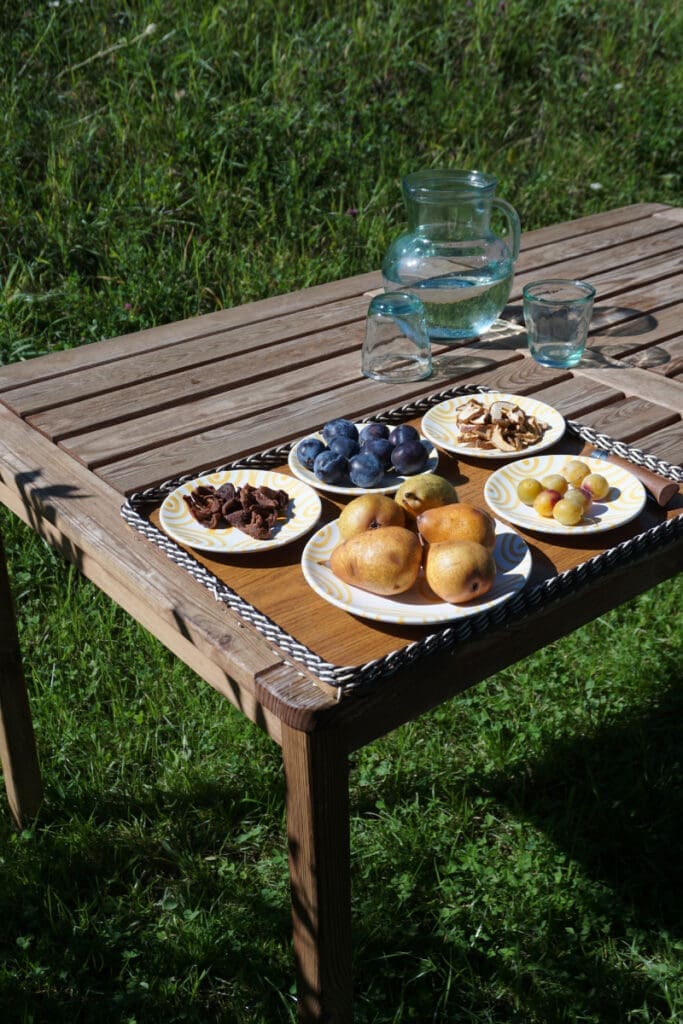 Fruchttrieb in Kärnten