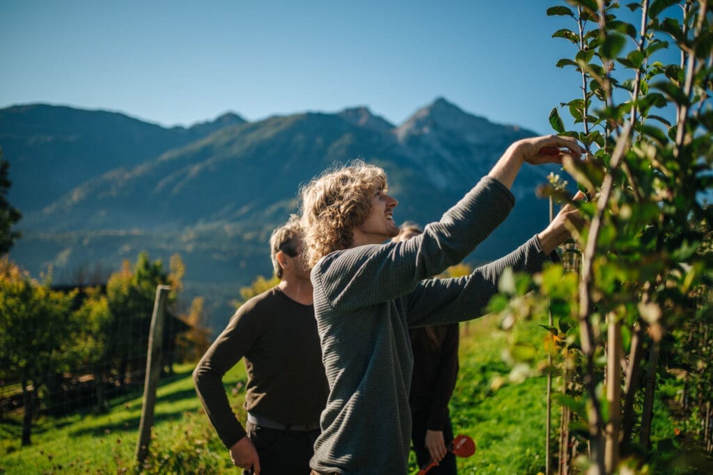 Eva Hinterbichler und Philipp Bodner und ihre Obstbaumschule Fruchttrieb