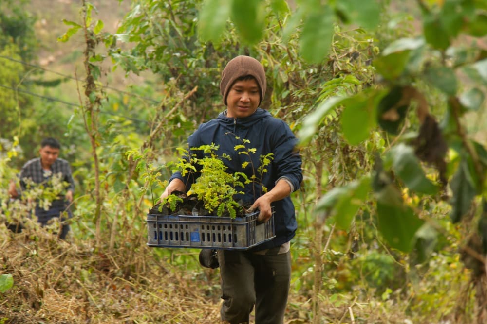 Moodbild Xmas Geschenk Click A Tree