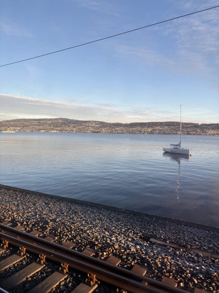 Einfahrt mit dem Zug nach Zürich in der Früh